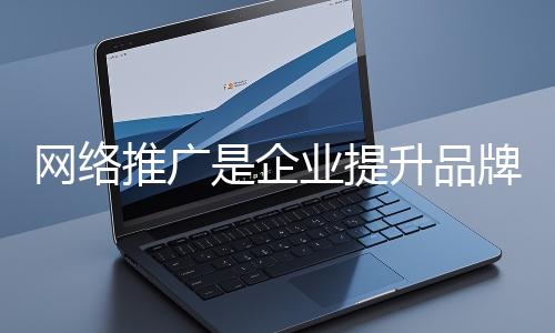 網絡推廣是企業提升品牌影響力、拓展市場的重要手段
